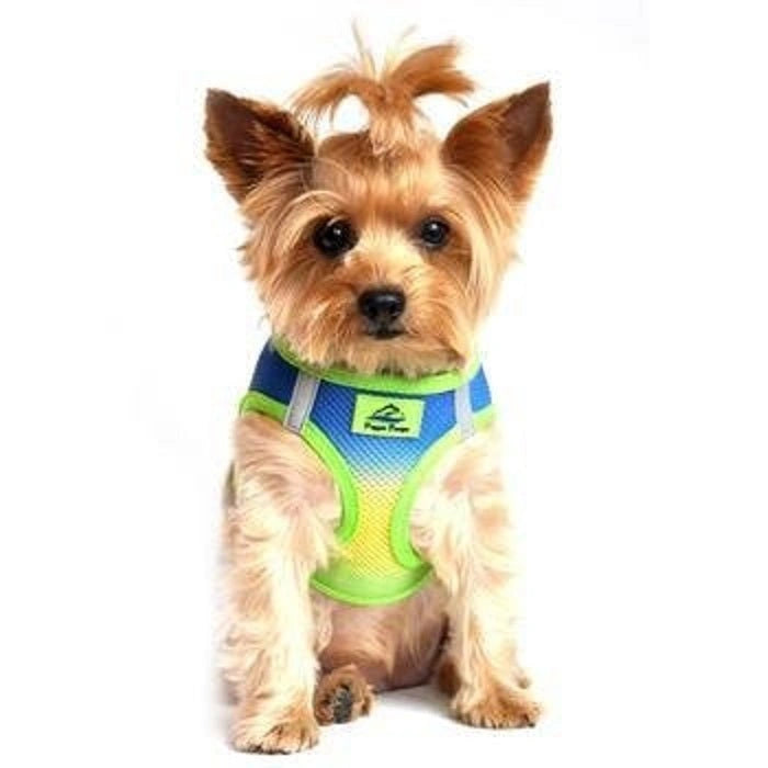 Doggie Design American River Dog Harness Ombre Collection - Hooves and Paws