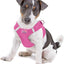 Doggie Design American River Ultra Choke-Free Mesh Step-In Dog Harness - Candy Pink, Size S