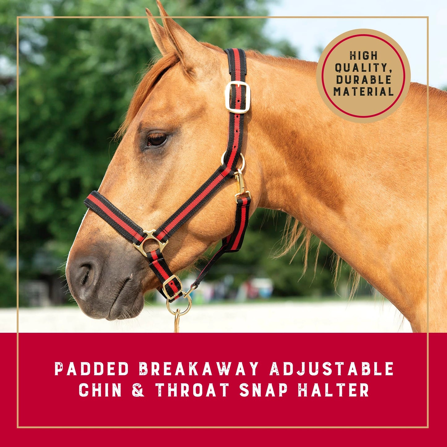 Weaver Leather Breakaway Halter - Padded Crown Safety Release