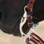 Classic Equine Straight Shank Bit - Smooth Bar Mouthpiece, 6" Cheek, 2-1/2" Purchase