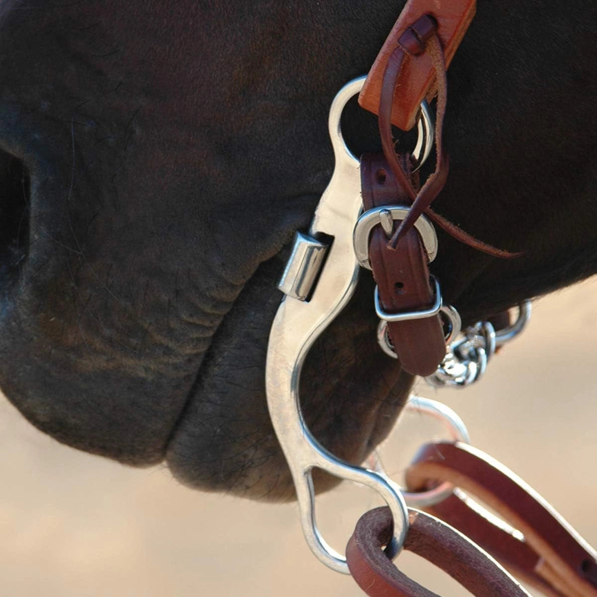 Classic Equine Straight Shank Bit - Smooth Bar Mouthpiece, 6" Cheek, 2-1/2" Purchase