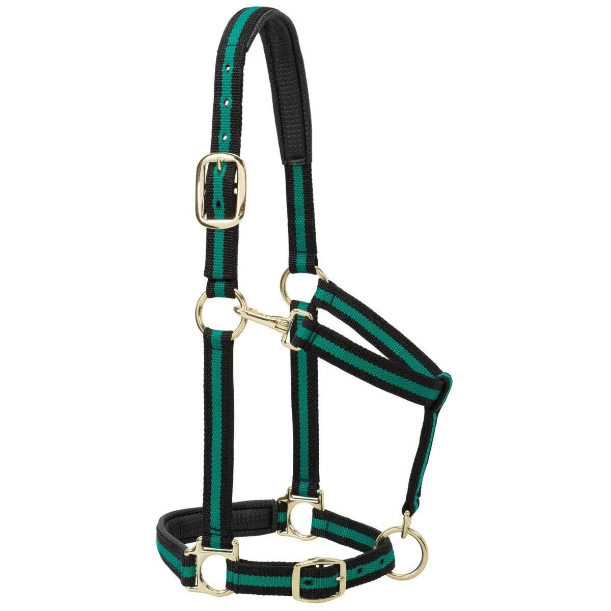 Weaver Equine Horse Halter: Comfort, Durability & Perfect Fit for Your Horse