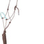 Classic Equine Rawhide Noseband Rope Halter with 8' Lead
