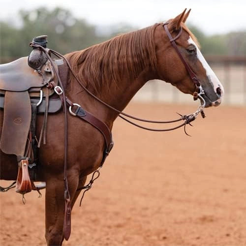 Professional's Choice Heavy Oil Harness Leather Romal Rein with Popper Tail - 54"