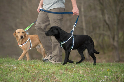 Weaver Terrain D.O.G. Durable Pet Outdoor Gear Reflective Neoprene Lined Leash - Hooves and Paws