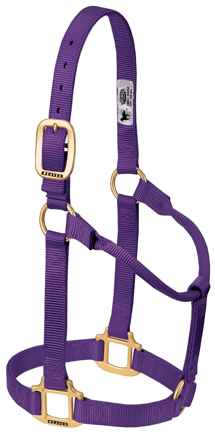 Weaver Equine Horse Halter: Comfort, Durability & Perfect Fit for Your Horse