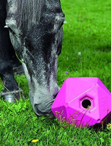 Shires Horse Pony Equine Ball Feeder Stable Toy Treat Ball Orange 9"
