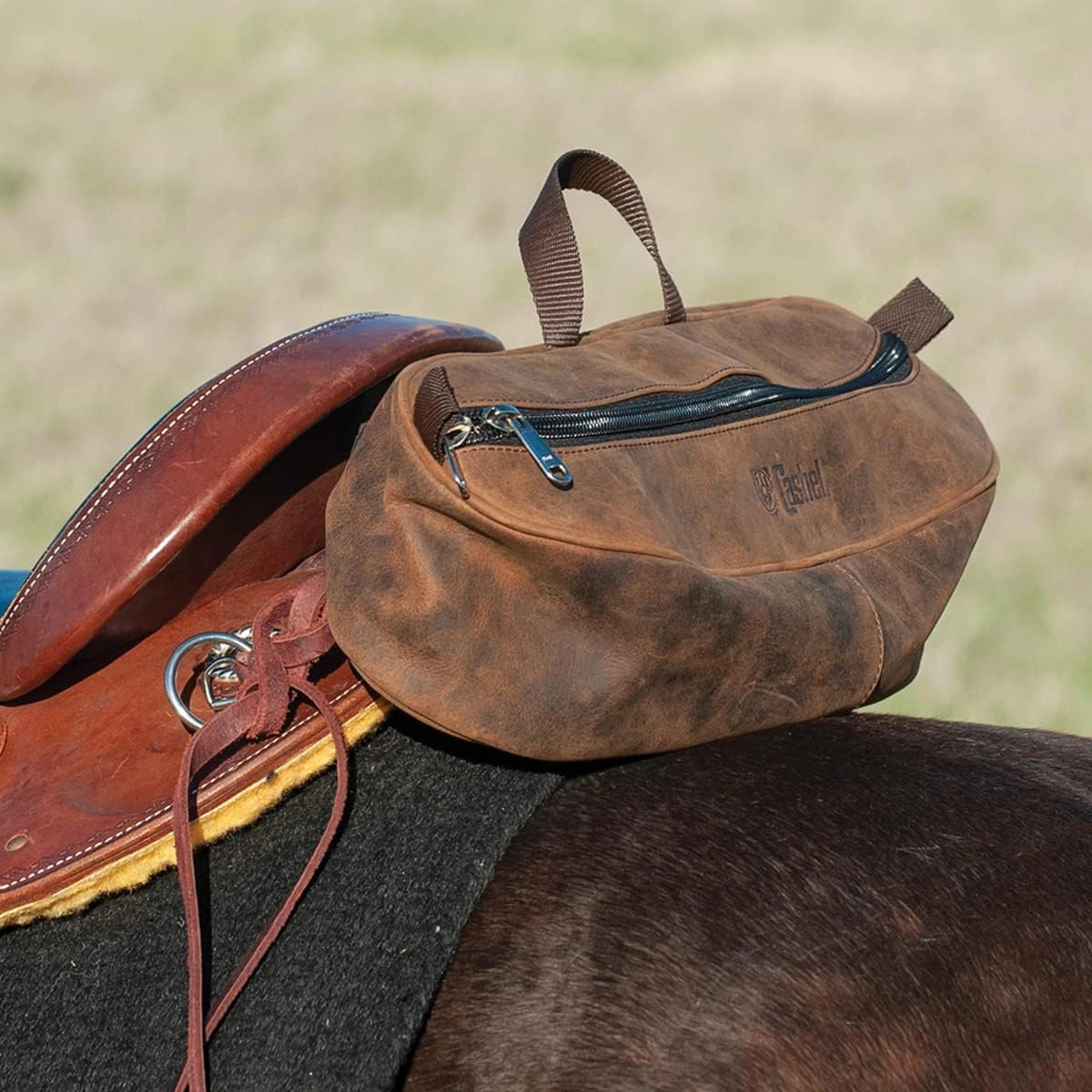 Brown leather bag on a horse's saddle with a blurred grassy background
