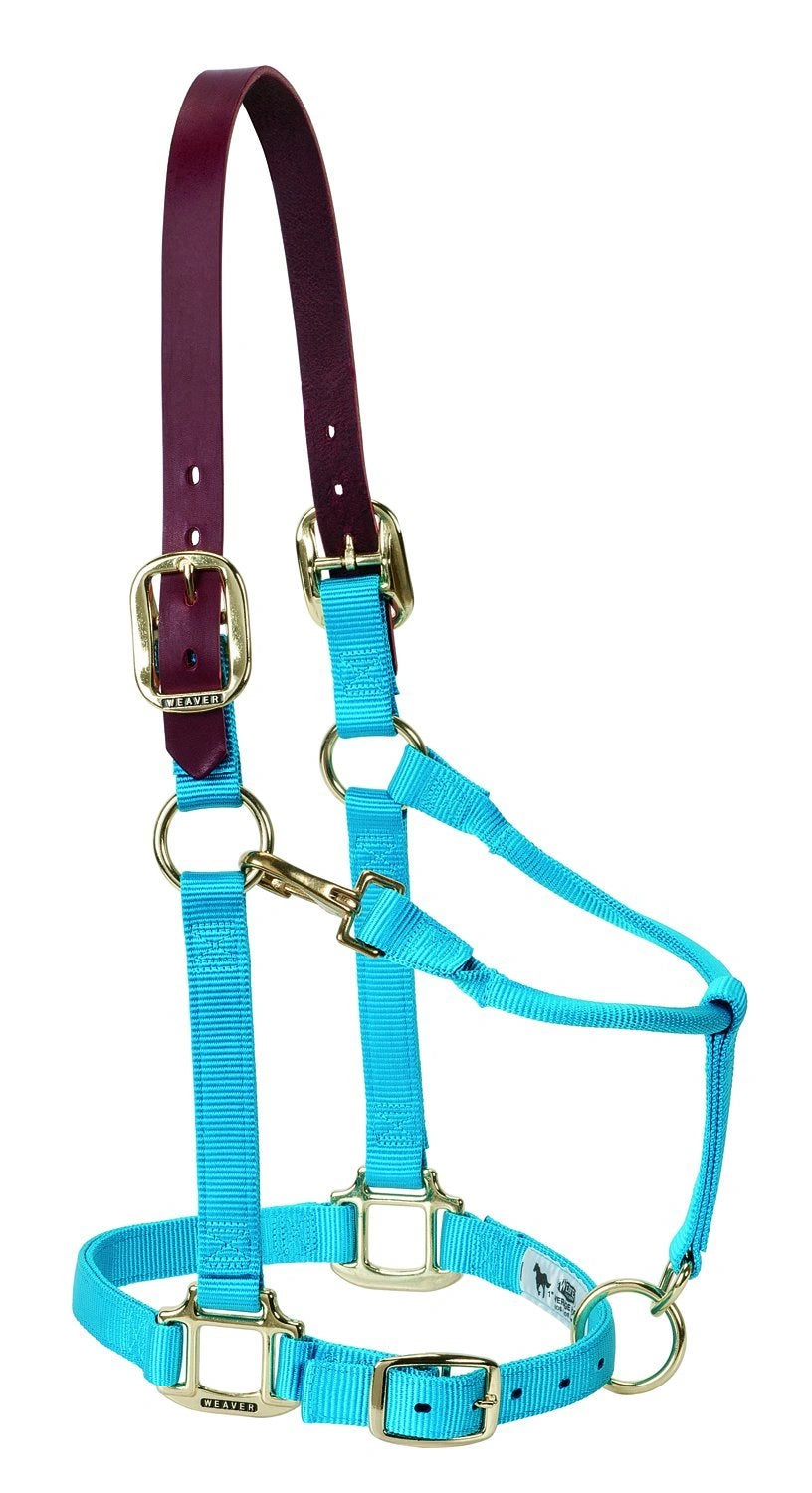 Weaver Leather Breakaway Nylon Halter – Replaceable Crown