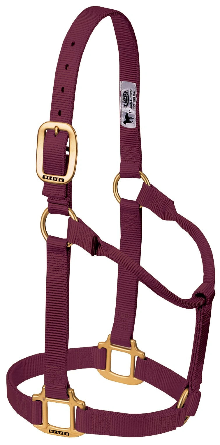 Weaver Equine Horse Halter: Comfort, Durability & Perfect Fit for Your Horse