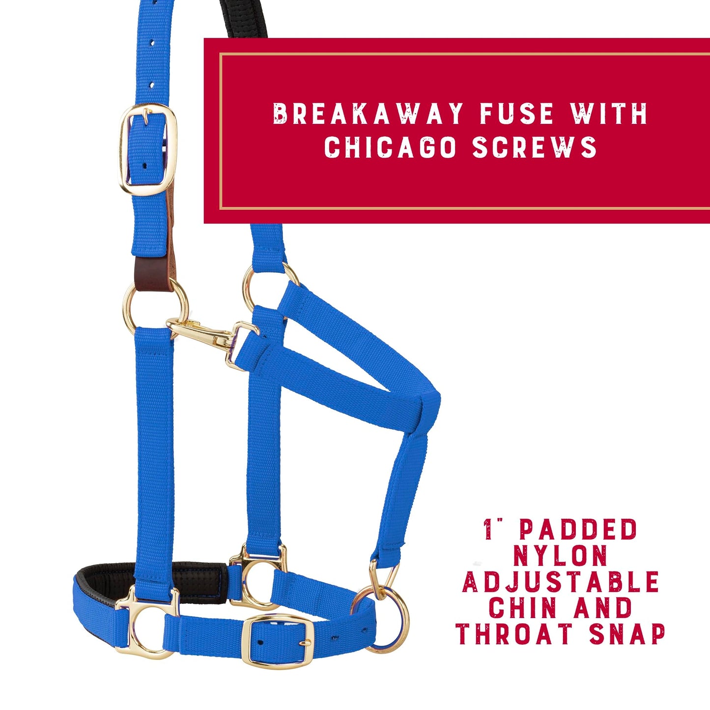 Weaver Leather Breakaway Halter - Padded Crown Safety Release