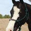 Professional's Choice Beaded Rope Halter | Intricate Beadwork on The Noseband | 7 Foot Matching Lead - Hooves and Paws