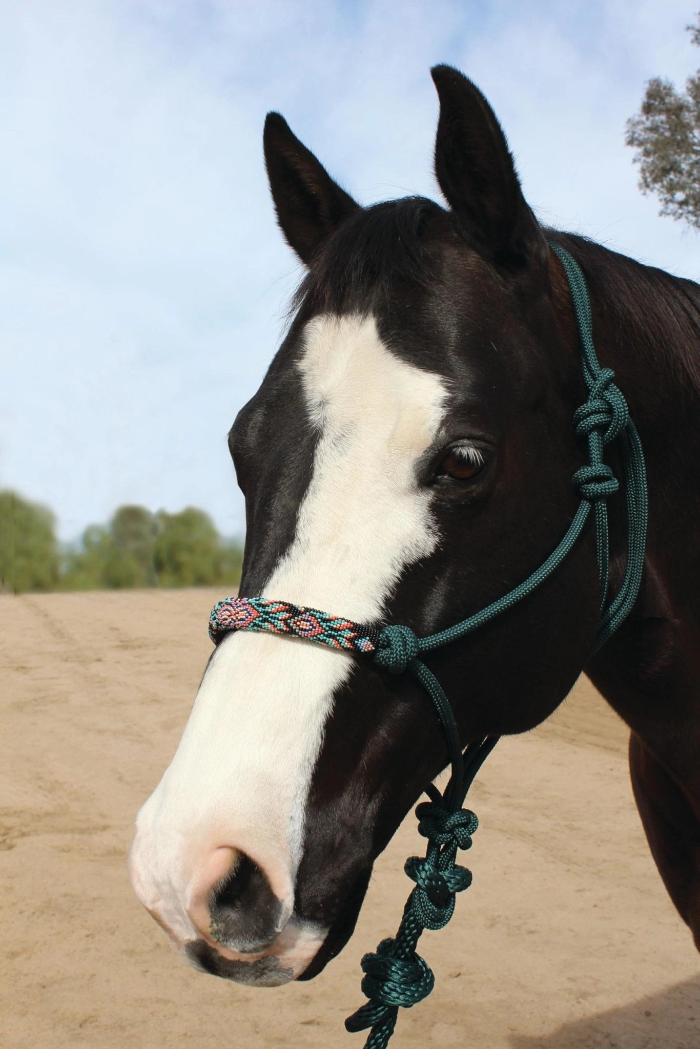 Professional's Choice Beaded Rope Halter | Intricate Beadwork on The Noseband | 7 Foot Matching Lead - Hooves and Paws