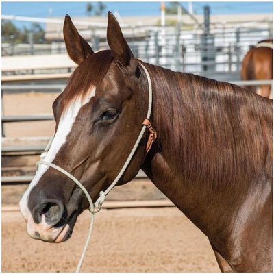 Professional's Choice Lariat Rope Training Halter: Enhance Horse Training