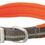 Weaver Terrain D.O.G. Durable Pet Outdoor Gear Reflective Neoprene Lined Collars - Hooves and Paws