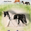 Breyer Horse Crazy Collection Stablemates Paint Horse - 1:32 Scale Model #97244