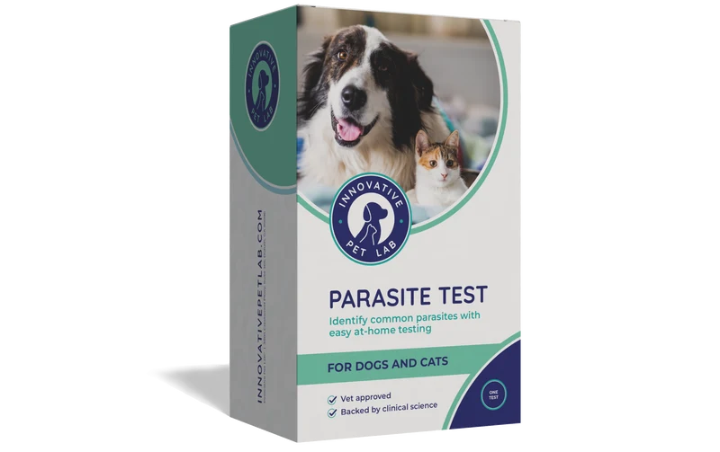 Gut Test Kit – Non-Invasive & Fast Results - Vet Trusted - Easy at-Home Stool Test