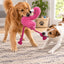 Petlou Squeaky Plush Dog Toys - Durable & Soft Interactive Play for Your Barn Dog