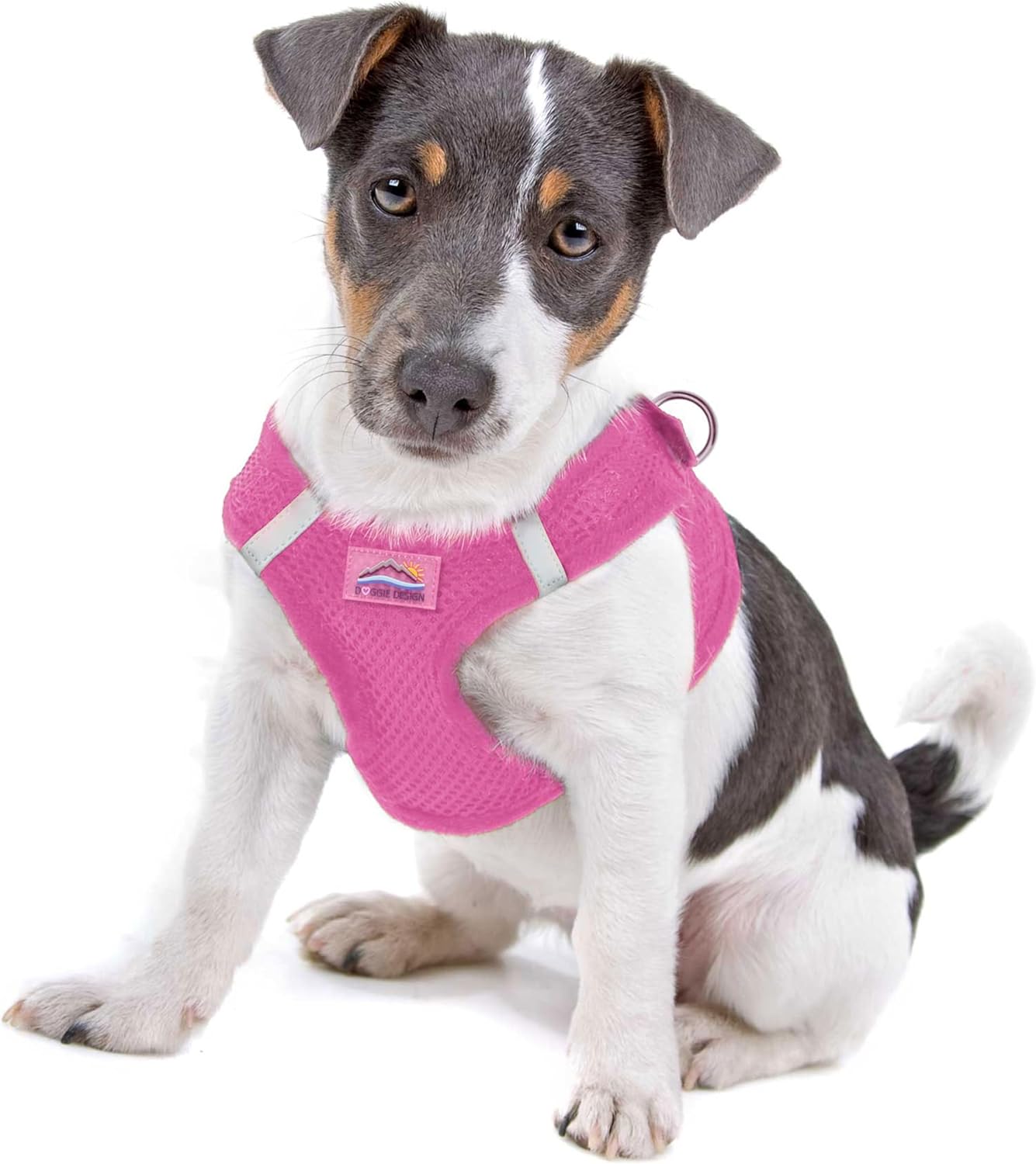 Doggie Design Dog Harness - No Choke Dog Harness, Dog Vest, Mesh Polyester, Pet Harness, Simple Step in and Go Design, Harness for Dog - Candy Pink, S
