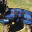 Back On Track Cool on Track Evaporative Cooling Dog Coat - Blue - Multiple Sizes