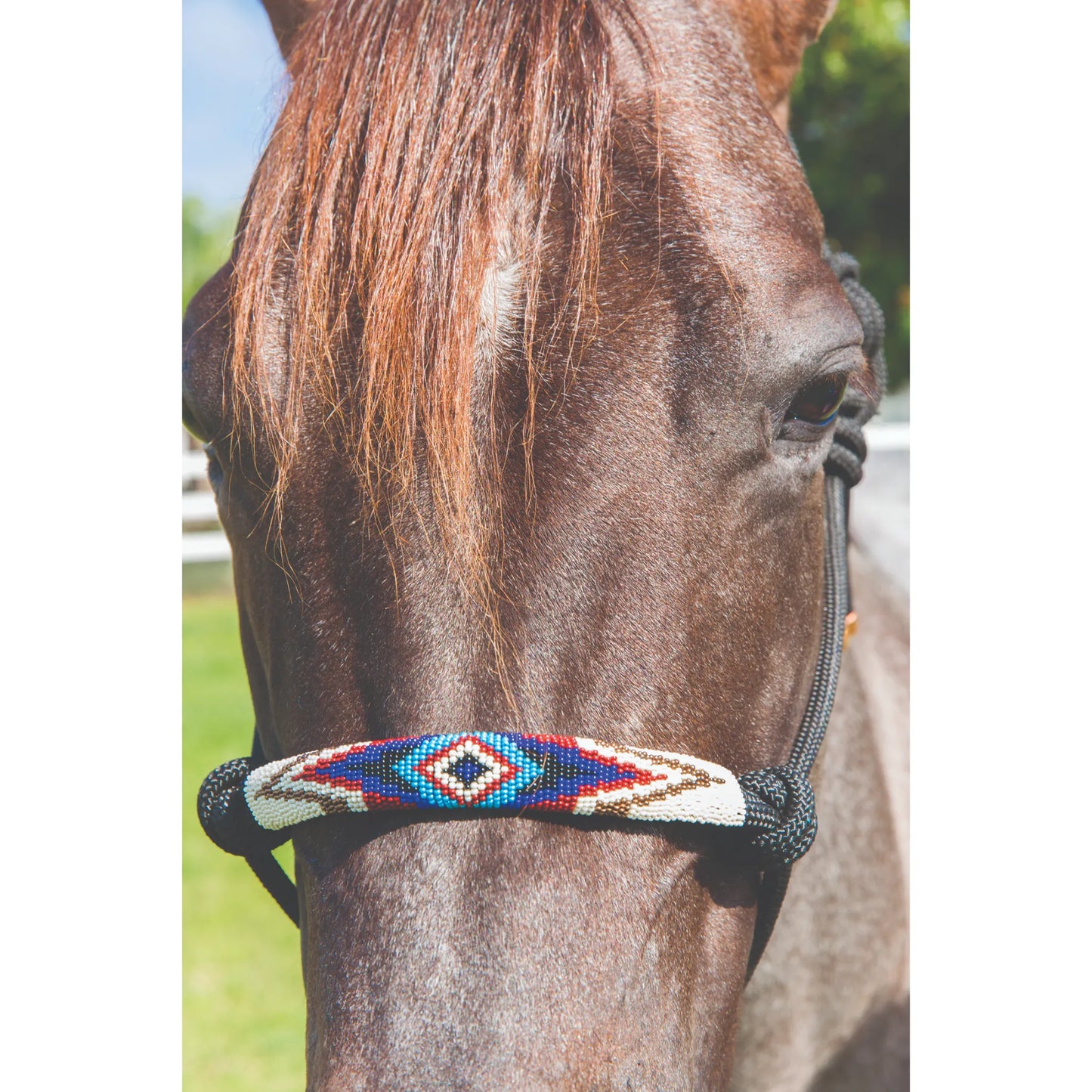Professional's Choice Beaded Rope Halter shown on a chestnut horse. This durable black rope halter features an intricately hand-beaded noseband with a Southwest-inspired geometric diamond pattern in vibrant shades of red, white, blue, and turquoise. Perfect for horse owners seeking stylish yet functional equestrian gear, this high-quality tack is ideal for western riding, training, or everyday use. The colorful beadwork adds a touch of elegance to any horse's attire.