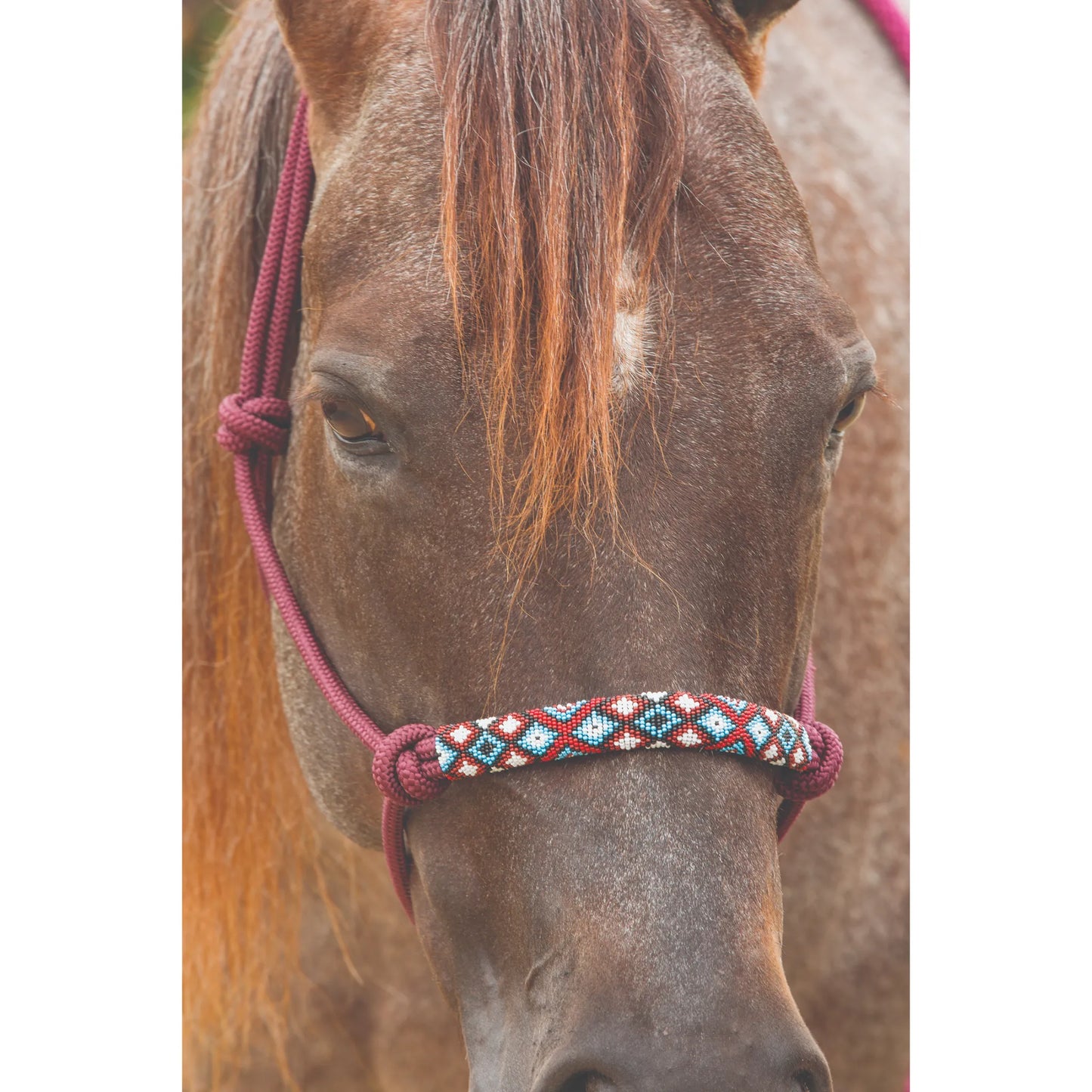 Professional's Choice Beaded Rope Halter featuring a burgundy nylon rope and an intricate, hand-beaded geometric noseband in red, turquoise, and white. This durable western horse tack is shown on a chestnut horse, highlighting its stylish design for training or everyday use. A perfect blend of western style and functionality for equestrian enthusiasts and professional riders.