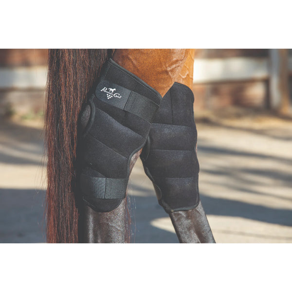 Professional's Choice Black Hock Ice Boot - Standard Size for Targeted Equine Cold Therapy & Recovery
