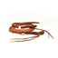 Professional's Choice Bleeding Heart Leather Western Rein - 5/8" Width - Durable Tack