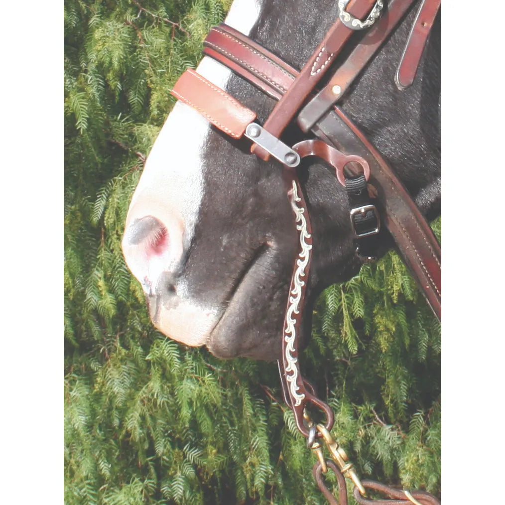 Professional's Choice Bob Avila Collection Floral Mechanical Hackamore Bit on a black and white horse. This western bitless bridle features intricate silver floral engraving on curved shanks and a comfortable padded brown leather noseband. Designed for refined control, it includes an adjustable chin strap and attaches to a classic leather headstall with silver accents. Premium western equestrian tack ideal for training and trail riding.