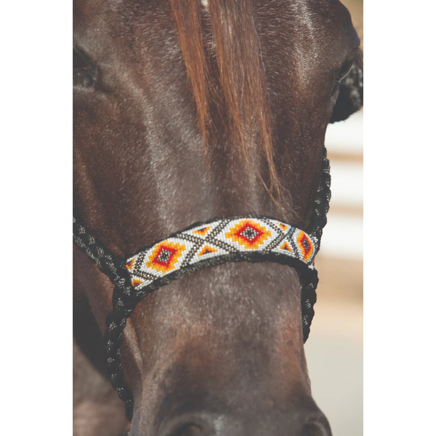 Professional's Choice Braided Rope Cowboy Halter featuring a comfortable flat nose design with vibrant southwestern beadwork in a red, orange, and yellow diamond pattern. This durable black rope halter is displayed on a dark brown horse, showcasing high-quality craftsmanship and western style. Ideal for equestrian training and daily use, this professional horse tack offers a blend of comfort and eye-catching detail for any rider's collection.