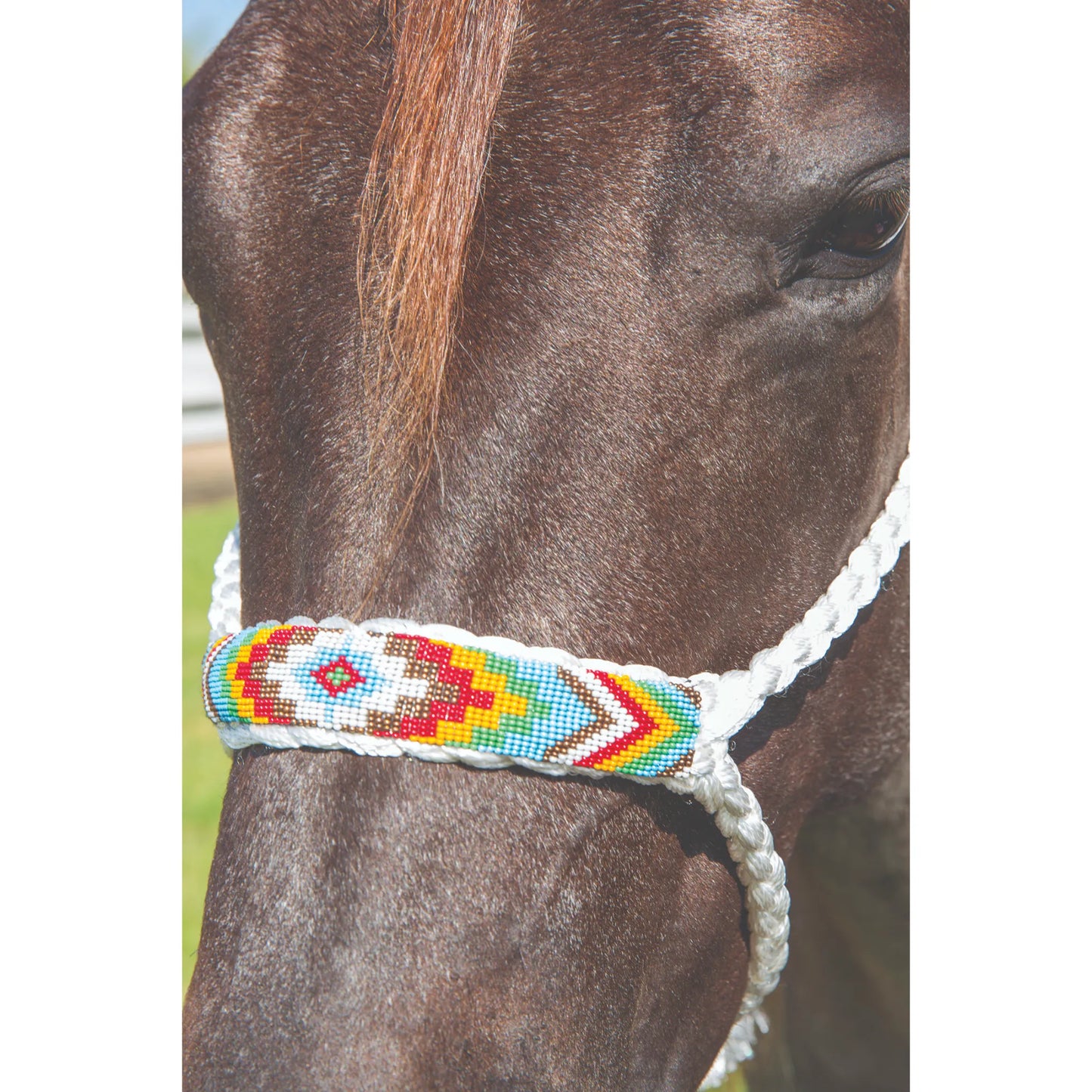 Professional's Choice Braided Rope Cowboy Halter featuring a flat nose design with intricate, colorful geometric beadwork. This white braided rope halter is shown on a dark horse, highlighting the vibrant red, turquoise, and yellow native-style patterns. A stylish and comfortable piece of western horse tack perfect for training or trail riding.