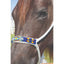 Professional's Choice Braided Rope Cowboy Halter featuring a vibrant beaded flat noseband. This white braided halter is shown on a dark bay horse, highlighting the intricate red, yellow, and blue beadwork design. A stylish and comfortable western training tool, this flat nose rope halter is durable for everyday use and eye-catching for horse shows or trail riding.