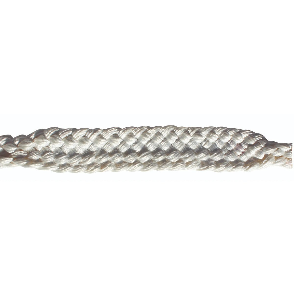 Nose Rope Professional's Choice Flat Nose Rope Halter with 10' Lead