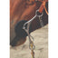 Professional's Choice Brittany 8” Shank Twist Gag bit on a horse. Features sleek 8-inch stainless steel shanks, a black rubber bit guard, and a sturdy curb chain. This high-performance western bit offers precision control and responsiveness, making it a top choice for barrel racing and advanced training. Premium equestrian gear and horse tack designed for professional riders seeking quality and durability.