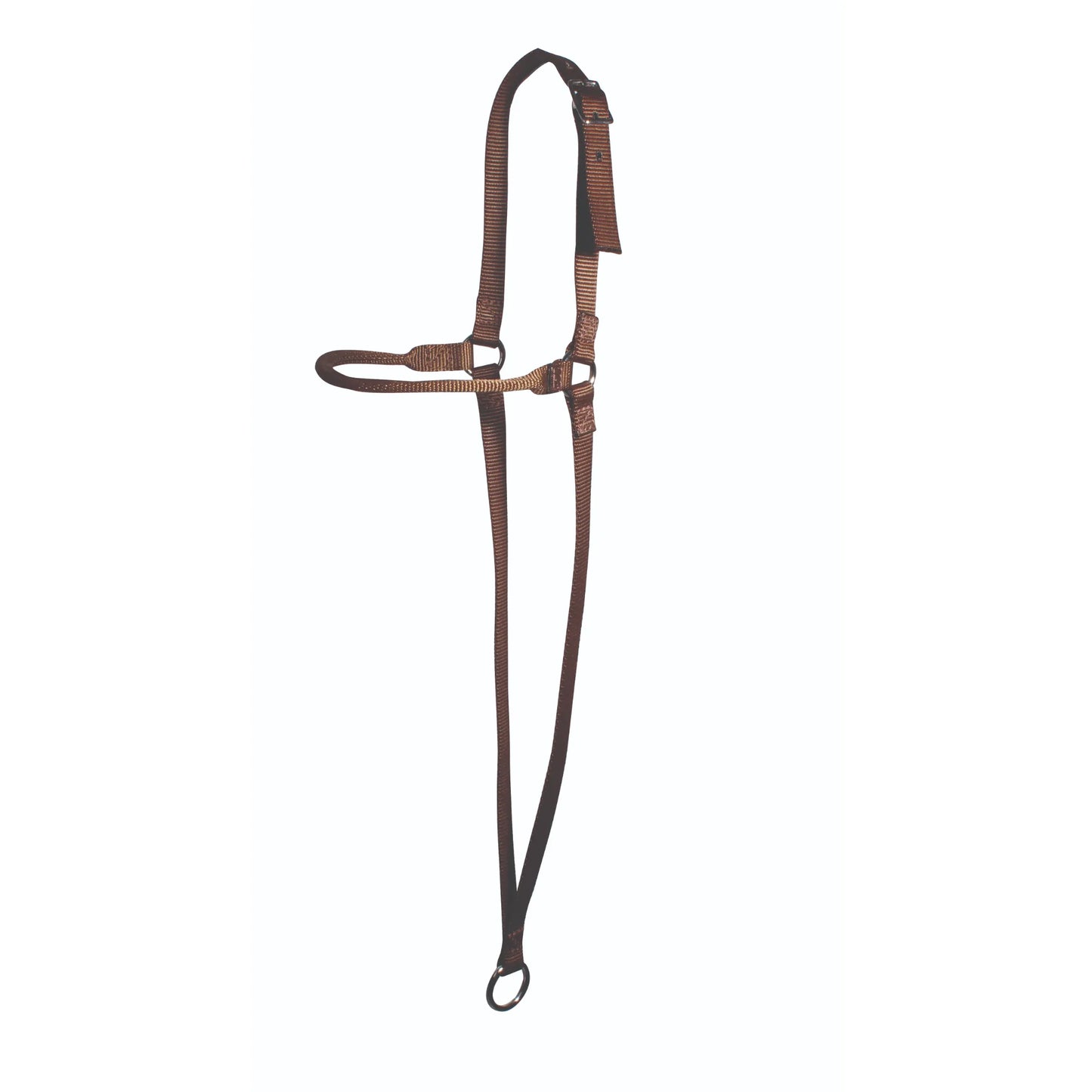 Professional's Choice Chocolate Web War Bonnet, a high-performance training tool for horses. Crafted from durable chocolate-colored nylon webbing, it features an adjustable crown strap with a buckle, a structured noseband, and a bottom ring for precise control. This essential piece of brown equestrian gear is designed to improve responsiveness and focus during training sessions, making it a must-have for horse performance and training.