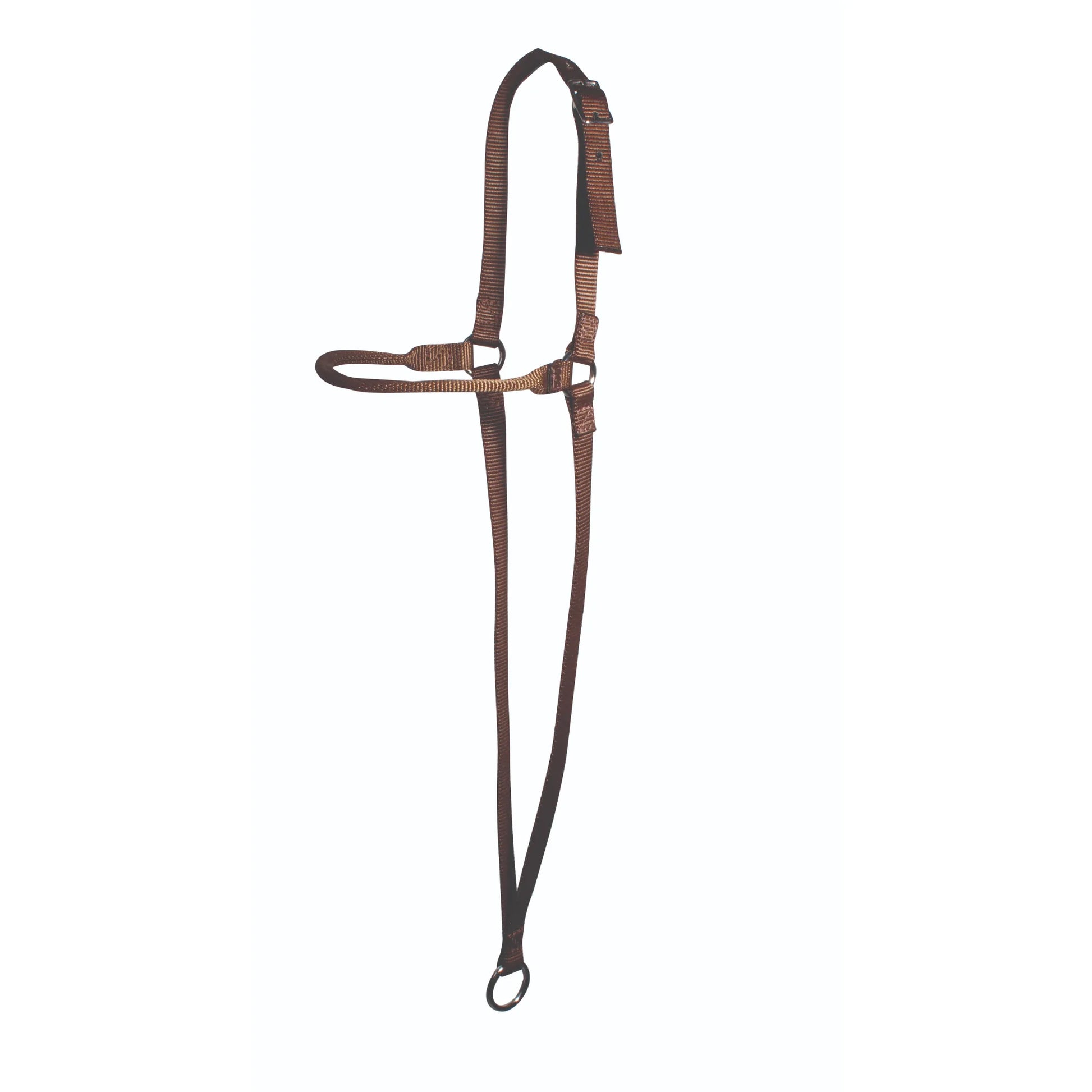 Professional's Choice Chocolate Web War Bonnet, a high-performance training tool for horses. Crafted from durable chocolate-colored nylon webbing, it features an adjustable crown strap with a buckle, a structured noseband, and a bottom ring for precise control. This essential piece of brown equestrian gear is designed to improve responsiveness and focus during training sessions, making it a must-have for horse performance and training.