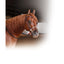 Professional's Choice Combination Bridle - Western Training & Performance Headstall with Rope Noseband