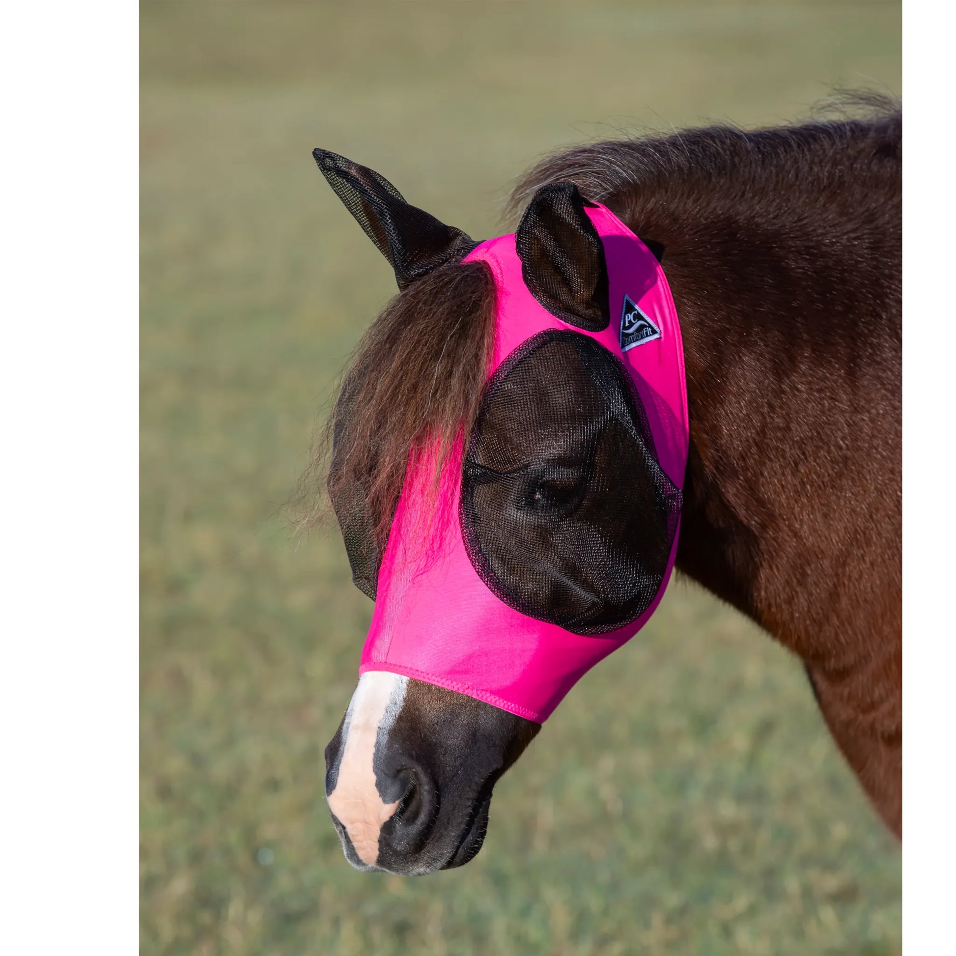 Professional's Choice Comfort-Fit Fly Mask in vibrant pink worn by a bay horse. This premium equestrian fly protection features soft, breathable Lycra for a rub-free fit, mesh eye covers for unobstructed vision, and protective mesh ears. The stretchable design ensures maximum comfort while shielding your horse from pests and UV rays. Ideal for horse owners seeking stylish and effective fly control solutions for the field or stable.