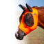 Professional's Choice Comfort-Fit Fly Mask in vibrant orange on a brown horse. This high-quality lycra horse fly mask features breathable black mesh over the eyes and ears for ultimate insect protection and comfort. The smooth, stretchy design ensures a snug fit to prevent rubbing while protecting against pests and UV rays. Ideal equestrian gear for horse health and pasture safety, featuring the PC Comfort-Fit logo.