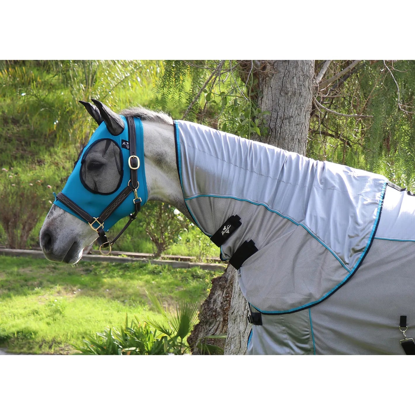 Professional's Choice Comfort-Fit Fly Neck Cover on a grey horse. This silver jersey mesh neck cover features breathable fabric and teal piping for a stylish, universal fit. Designed with secure Velcro straps for easy attachment, it provides essential horse fly protection. Shown paired with a matching teal fly mask and leather halter in a sunny outdoor pasture, perfect for summer horse care and pest control.