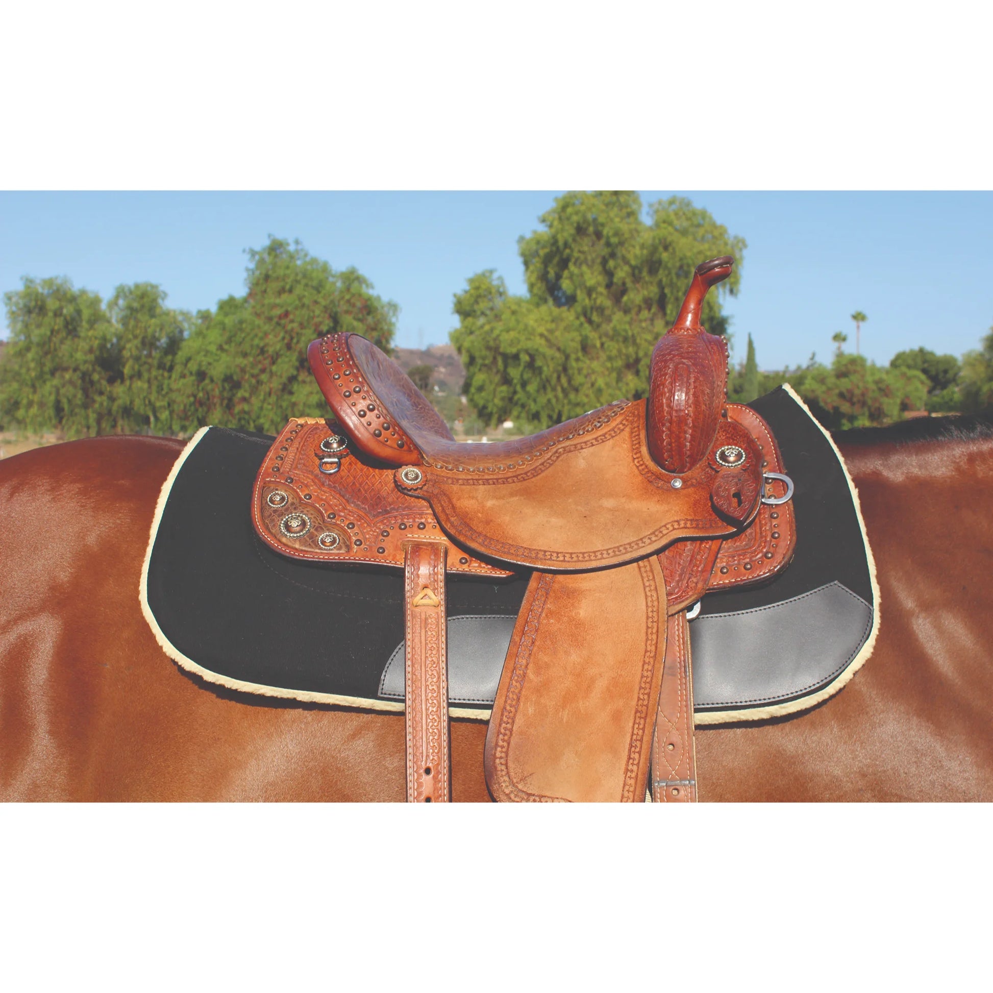 Professional's Choice Contoured Work Pad - Durable Western Saddle Pad, Black, 31" x 32"