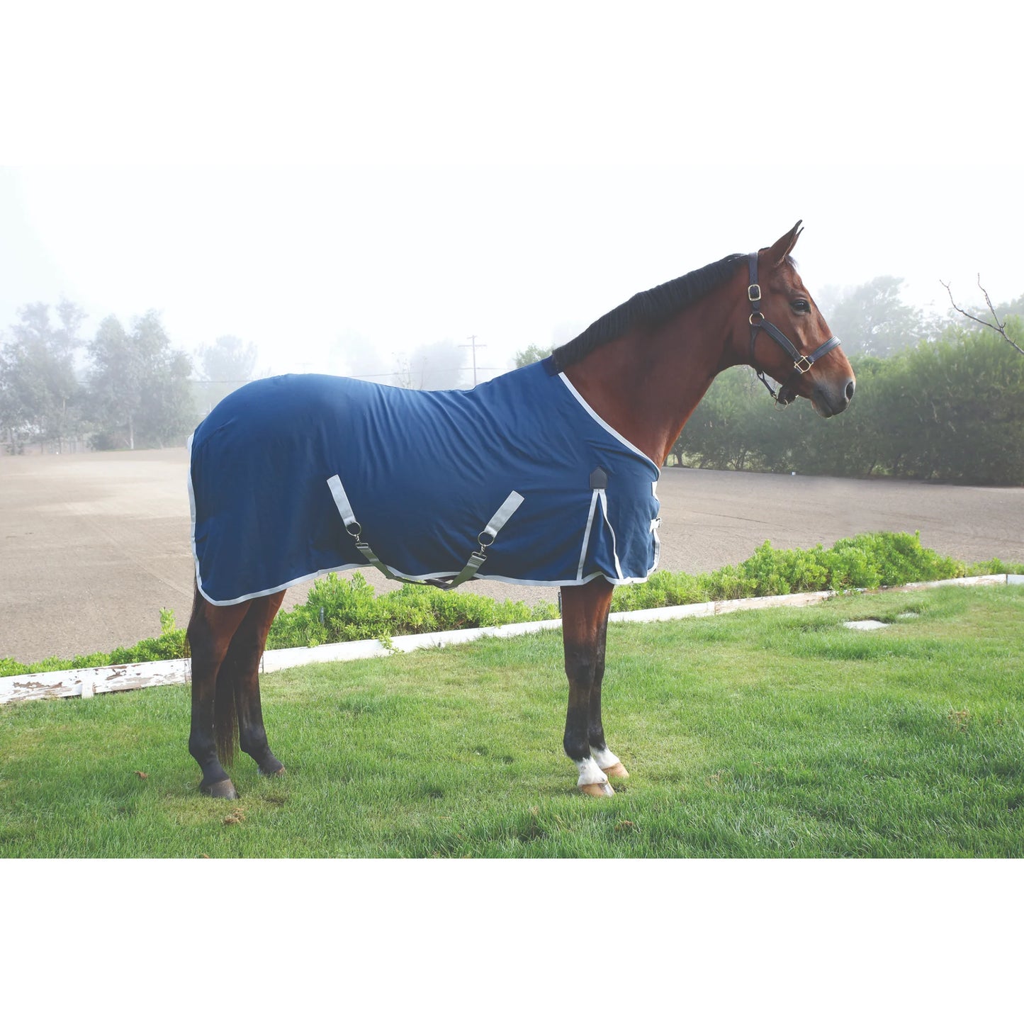 Professional's Choice Cotton Horse Day Sheet - Navy/Silver - 68" - 0g Breathable Cotton-Poly Stable Sheet
