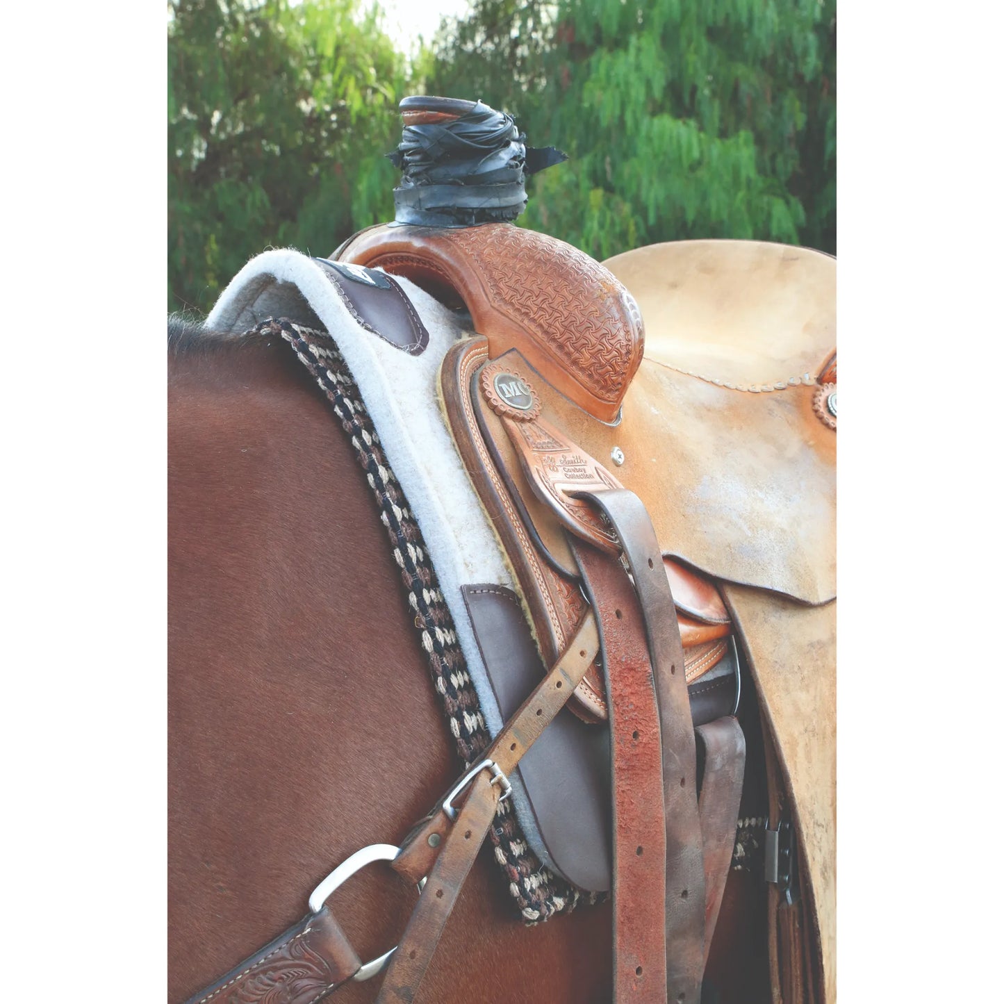 Professional's Choice black dally horn wrap secured on a western saddle horn. This durable rubber horn wrap provides extra grip for team roping and ranch work, protecting your leather saddle while securing your rope. A must-have equestrian accessory for rodeo athletes and cowboy gear collectors. Shown on a chestnut horse with a high-quality felt saddle pad.