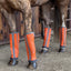 Professional's Choice Deluxe Fly Boots in vibrant orange on a horse's lower legs, providing ultimate protection against biting flies and insects. These high-visibility horse boots feature vertical reflective strips for safety and are designed to stay secure in the stable or pasture. Perfect for equine summer leg protection, these durable boots prevent stomping and skin irritation, ensuring your horse stays comfortable and protected.