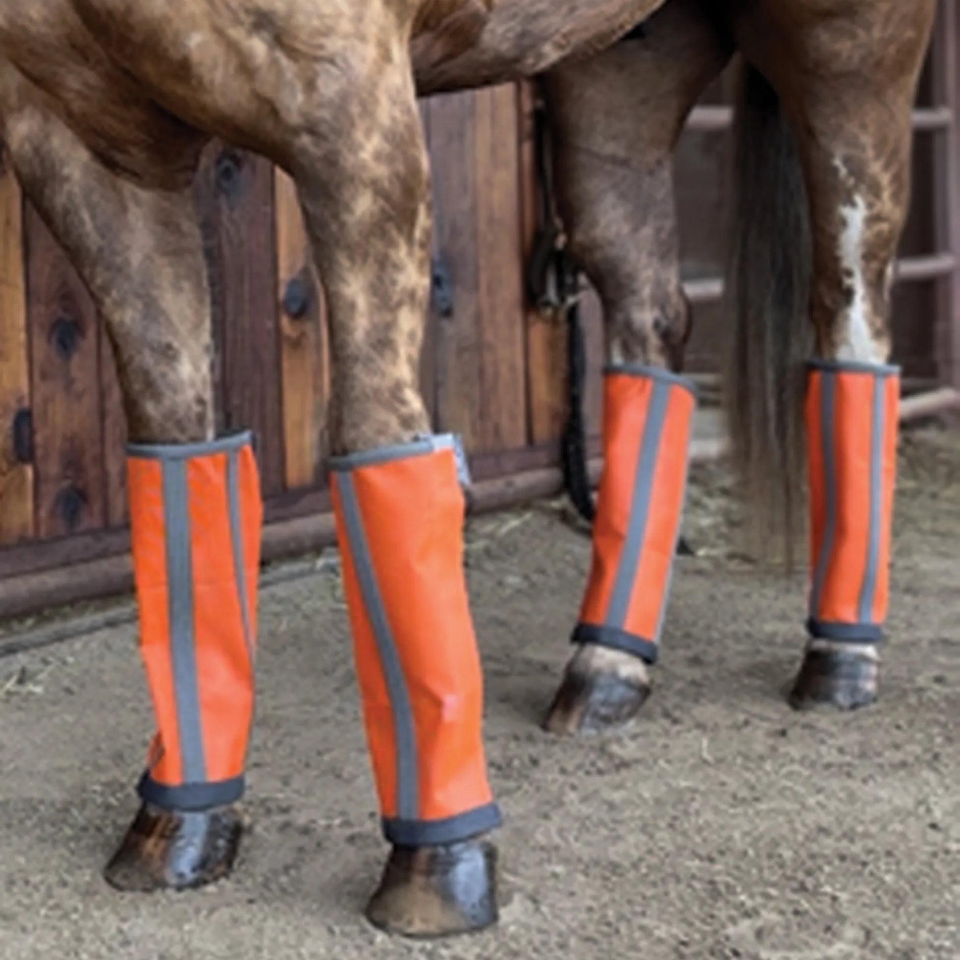 Professional's Choice Deluxe Fly Boots in bright orange worn on all four legs of a horse for ultimate fly protection. These high-visibility horse leg boots feature vertical gray reflective strips and charcoal gray trim for safety and style. Designed to protect horses from biting insects and UV rays, these breathable and durable fly wraps are essential equestrian gear for comfort in the pasture or stable.