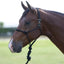 Professional's Choice Easy ON Rope Halter in black, modeled on a bay horse. This durable equestrian training halter features a quick-fasten metal sliding buckle for easy application without traditional knots. Perfect for horse owners seeking high-quality, efficient tack for ground work and everyday handling. Stylish and functional rope halter for professional and recreational use.