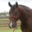 Professional's Choice Equisential Rope Halter with 8' matching lead in a vibrant red and black pattern, shown on a bay horse. This high-quality training halter is designed for durability and precise control during groundwork and everyday handling. A must-have piece of equestrian tack for horse owners and trainers looking for reliable, professional-grade horse equipment for their stable.
