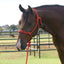 Professional's Choice Equisential Rope Halter with 8' Matching Lead in red, shown on a brown horse. This high-quality knotted rope training halter is perfect for groundwork, daily handling, and trailering. Durable and lightweight, it offers precise communication for equestrian training and natural horsemanship. A must-have piece of professional-grade horse tack for any stable.