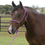 Professional's Choice Equisential Rope Halter with 8' Matching Lead in a vibrant purple and pink pattern on a bay horse. This durable, hand-tied rope halter features adjustable knots for a custom fit, making it a must-have piece of equestrian gear for training or daily handling. Stylish and functional, this matching horse halter and lead set is perfect for any horse owner's collection.