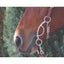 Professional's Choice Futurity 5 1/2" Mouth Bit with 6.5" Chain shown on a chestnut horse. This polished silver western bit features a unique shank design for effective communication and control. Perfect for training, performance, and western riding enthusiasts looking for high-quality horse tack and equestrian gear. Durable stainless steel finish with a secure curb chain for precise horse training and western show performance.